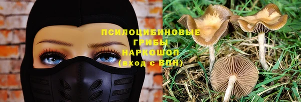 мет Баксан